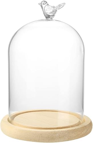 Forart - Vitrina de cristal transparente con mango de pájaro, base de madera, tarro de vidrio transparente con base de bambú