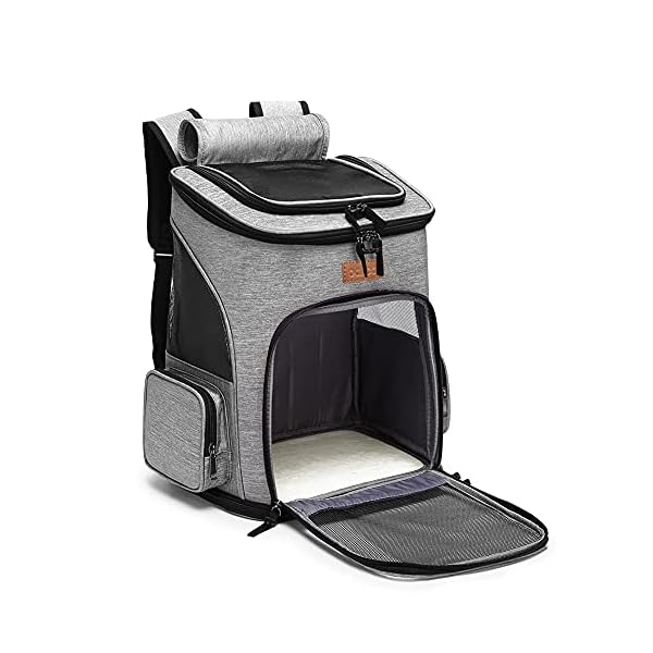 Foldabe Dog Carrier Backpack