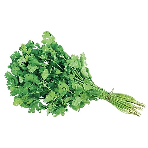 60.000 Sementes de Coentro verdão 500g Hortaliças Temperos Saladas