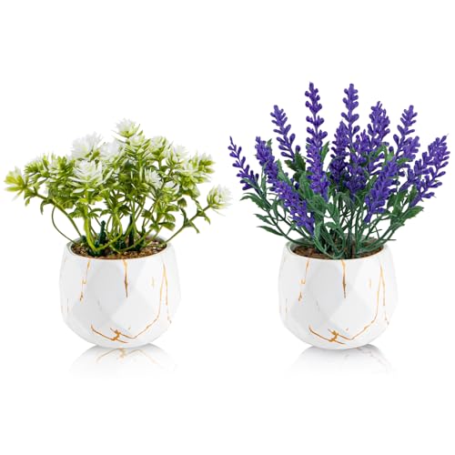 2 Pack Artificial Pot Flowers Small Fake Plants, Artificial Lavender & Wildflower Potted Plants, Fake Mini Plants for Home Decor, Tabletop, Shelf, Office, Bathroom, Farmhouse