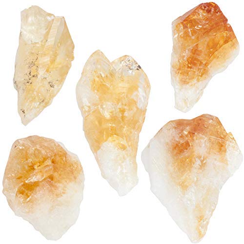OnlineScienceMall Natural Citrine Quartz Shards - Rough Unpolished Yellow Gemstone Crystals (7 Pack)