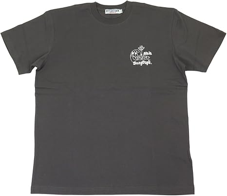 ステイシー　サーフTシャツ holoholo_252sf1st519gry