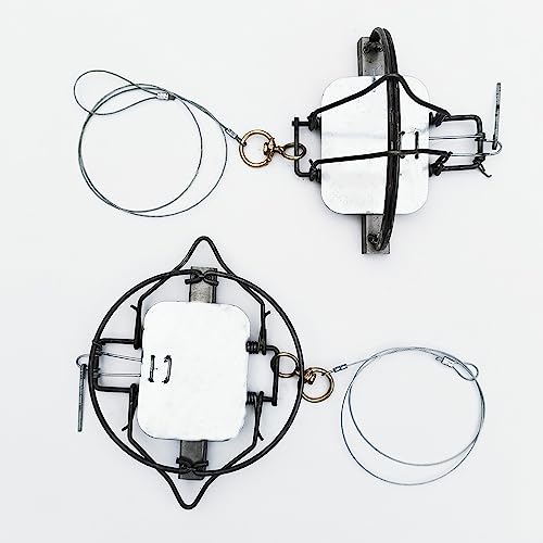 DSQSTMR Small Animal Traps Raccoon Rabbit Fox Skunk Possum Feral Cat Weasel Bobcat Spring Trap 7 Inches