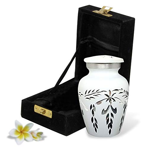 Compare price to infant urns for human ashes