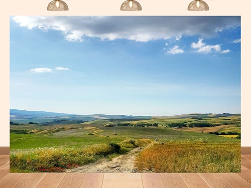 PEKRU 10x8ft Fabric Tuscan Country Path Backdrop Rolling Hills Blue Sky Photography Background Nature Inspired Wedding Party Banner Home Wall Decor Photo Props