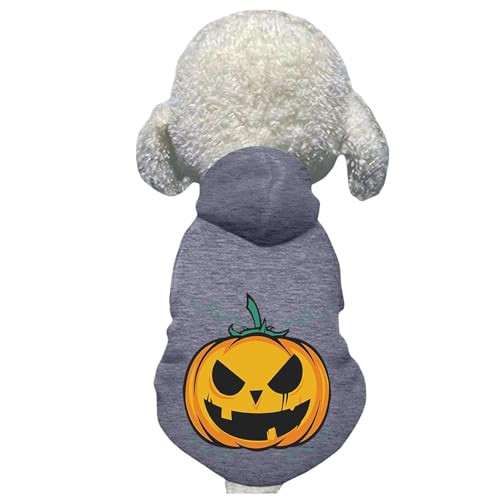  nEB pvL L s[X  ̃nEBRX`[ h ʐ^B ʋC  J{` ͋C[J[ Halloween Lp (O[CL)