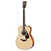 Amazon.com: YAMAHA FS800 Small Body Solid Top Acoustic Guitar, Natural ...