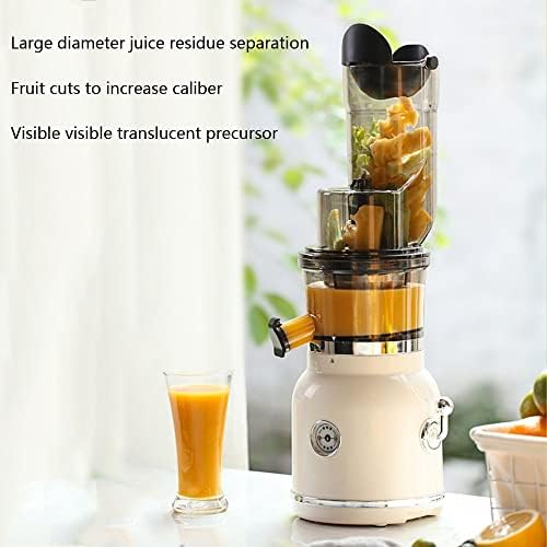 Cold Press Vertical Juicer Machine Slow Masticating Juicer Extractor High Nutrient Fresh Vegetable and Fruit Juice Extractor with Quiet Motor & Reverse Function Easy Cleaning 800 Ml (Color : Red)