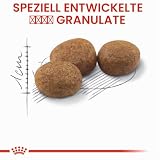 Royal Canin 55126 Sterilised 2 kg - Katzenfutter