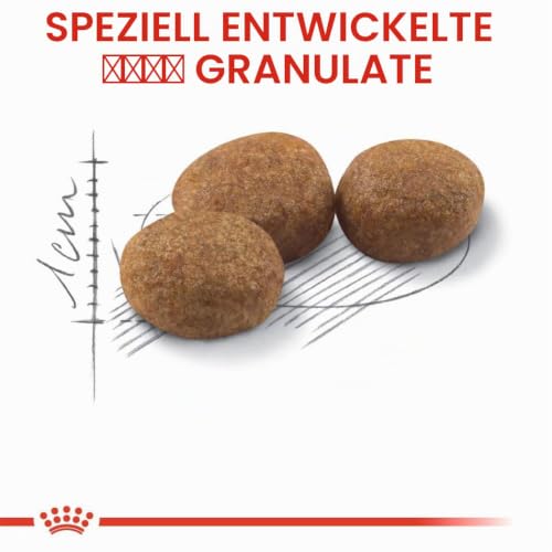 Royal Canin 55126 Sterilised 2 kg - Katzenfutter
