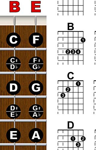 Guitar Chord & Fretboard Note Chart Instructional Easy 11"X17" Poster For Beginners Chords & Notes | A New Song Music | #TOP5