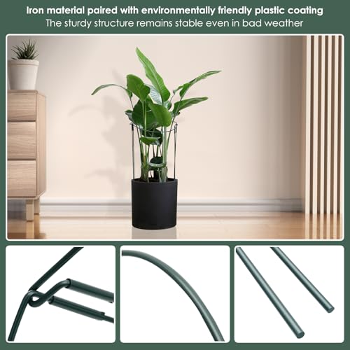 10 Pack Supports Stakes Metal 10" Wide x 24" High Peony Cages and Supports Garden Interlock Half Round Support Ring Border Support Ring Cage for Rose Vine Tomato by LENGYANN - Used condition - Image 4