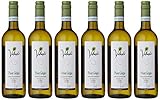 Volunte Pinot Grigio 2019 White Wine, 6 x 75cl