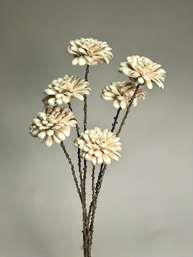Ramo de 6 tallos de flor de crisantemo de madera sola orgánica miniatura 2