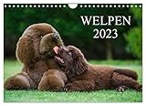 NACHHALTIG - deutliche Abfallreduzierung durch bedarfsgerechte Einzelstückfertigung, umweltfreundliches FSC-zertifiziertes Papier, Produktion in Deutschland, klimabewusste Logistik.