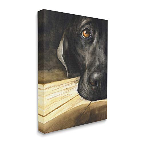 Stupell Labrador Resting Canvas Wall Art