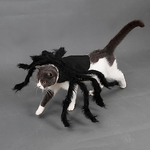 Disfraz de Araña para Perro Halloween TITA-DONG S miniatura 5