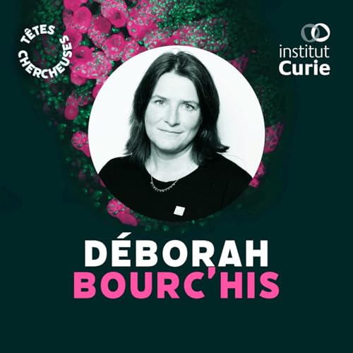 Transposons, n&eacute;vroses & tableaux Excel avec D&eacute;borah Bourc&rsquo;his &ndash; 2/2