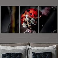 3 Piece Framed Canvas Wall Art Colorful Butterfly Insects Canvas Prints Home Artwork Decoration for Living Room,Bedroom - 16