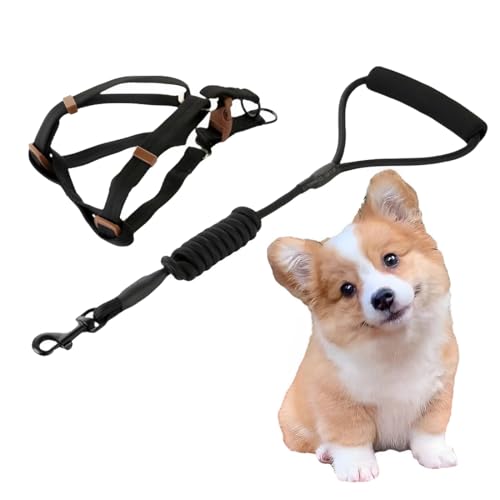 Pettorina a Y per cani in 2 pezzi con guinzaglio antigraffio, nera pettorina dog, per cani da 8 a 15 kg.