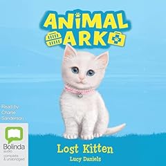 The Lost Kitten cover art
