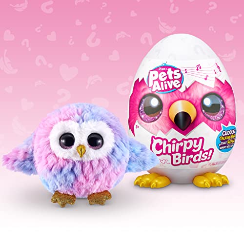 Reviews de Present pets precio más recomendados. 14 Imagen adicional