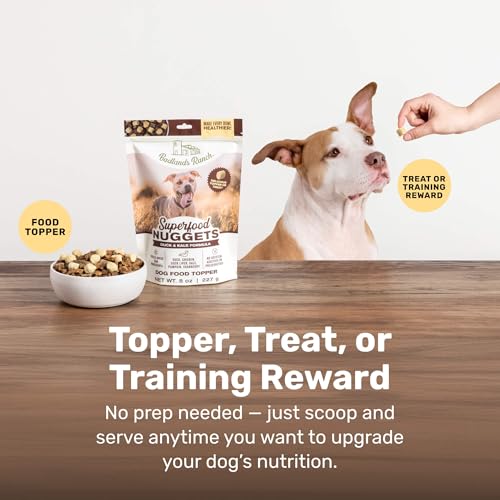 BADLANDS RANCH Superfood Nuggets – Freeze-Dried Raw Dog Treat & Food Topper, Nutrient-Dense Duck & Kale Formula, High Protein, No Artificial Additives, 8oz Bags (4-Pack Bundle)