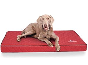 Knuffelwuff Juna Orthopädische Hundematte 78x65cm Rot Kunstleder