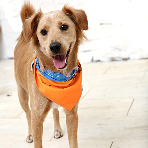 Creative Collocation | The Dog Bandana Macthing Women Socks Set As Dog Lover Gift | Trendy Accessories Suitable For Dog Owner's Spring And Summer Outfit Look #TOP4