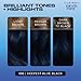 Clairol Nice'n Easy Permanent Hair Dye, 1BB deepest blue black Hair Color, Pack of 1