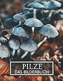  Pilze: Das Bilderbuch der wunderbaren Pilze für Senioren, Parkinson, Demenz Erwachsene mit Alzheimer, und Patienten zu helfen, Gedächtnisverlust.