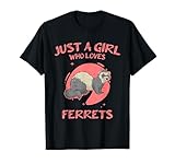 Domestic Animals Ferret Feral Brown Pet Apparel