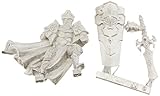 Privateer Press Protectorate of Menoth - Order of the Wall Paladin Alt Pose Model Kit