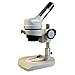 AmScope K104-X Elementary Stereo/Dissecting Microscope, 5x and 10x Widefield Eyepiece, 10x-20x Magnification, Reversible Black/White Stage Plate, Heavy-Duty Frame