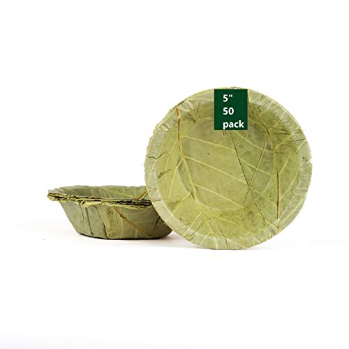 Biodegradable Disposable Leaf Bowls