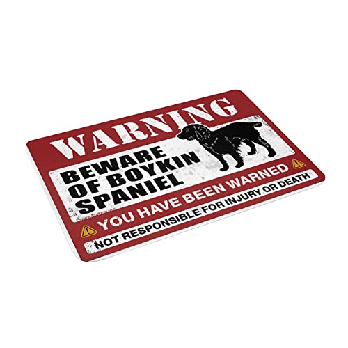 Grand tapis de bienvenue extérieur 50x80 paillasson Boykin Spaniel - 3