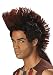 California Costumes Indian Warrior Wig