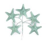 ✅ Estrella de mar de porcelana Ideal para la decoración de coronitas, tiaras, tocados, pamelas, sombreros, bolsos, zapatos, etc.