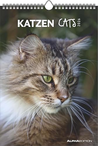Alpha Edition - Katzen Kalender 2026 Wandkalender 23 7×34 cm mit Katzenmotiven & Platz für Notizen 4-sprachiges Kalendarium dekorativer Bildkalender mit Zusatzinfos für Katzenliebhaber: Cats