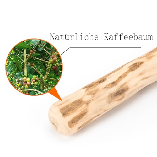 HYZSHL 3 Stück Kaffeeholz für Hunde, Natürliches Kauholz für Kleine und Mittlere Hunde, Ideal für Zahnreinigung und Stressabbau, 14 cm Lange ﻿