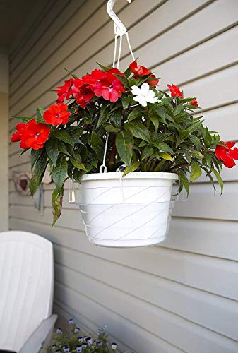 Curtis Wagner Plastics Plant Hanging Basket Drip Pans (5-Pack) - Clear, Round (Diameter = 7.37" Base, 10" Top, 3.7" Depth) Thin Plastic Indoor Outdoor #TOP5