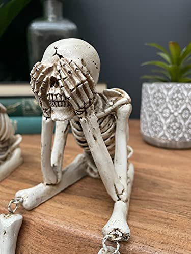 Set de Estatuas Calavera de Resina para Decoración miniatura 5
