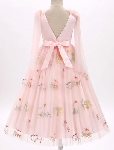 Tulle Embroidery Flower Girl Lace Dress for Kids Wedding Pageant Party Mesh Floral Embroidered Dress Birthday Party Dresses4