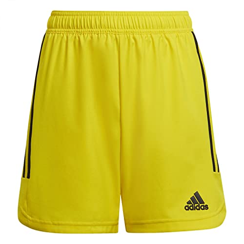 Adidas HA3568 CON22 MD SHO Y Shorts Unisex Kids Team Yellow/Black 5-6A
