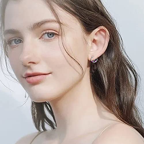 Flamingo Earrings Sterling Silver Hypoallergenic Small Hoop Earrings For Sensitive Ears Flamingo Jewelry Stocking Stuffer Christmas Gifts For Women Girls #TOP4