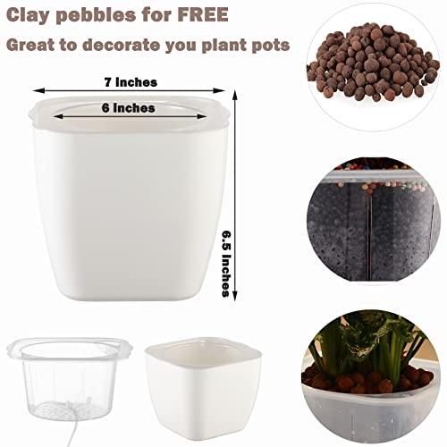 6-Pack Self Watering Planters and Pots for Indoor Plants 7” Large African Violet Pots Plastic Wick Flower Pots with Water Injection Hole, Orchid Plant Pot Set, Clay Pebbles Included, Clear and White - Thumbnail 4