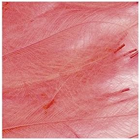 Petitjean CDC Feathers 5 Gram Bags