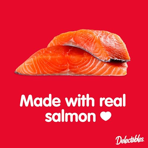 Deliciosos petiscos úmidos para gatos feitos com frango e salmão verdadeiros, purê cremoso, sem bagu