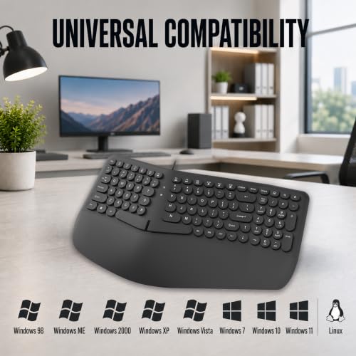 Image of ANT Master 70 Wired USB Keyboard, Full-Size 101-Key Computer Keyboard with FN + 12 Multimedia Shortcut Keys, Smooth Rubber Dome Keys, Anti-Splash Design, 5 Million Keystrokes, Windows & Linux Black