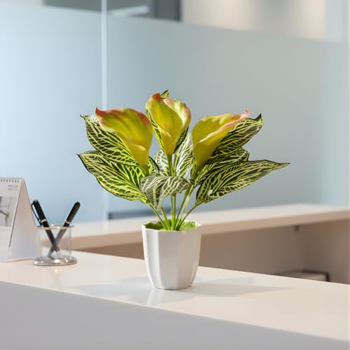 Image of fancymart Artificial Calla Lily Plant with Pot - 30 cm Height Decorative Flower Leaves (Pack of 1) | Realistic Faux Plant for Home & Office Decor | Table, Shelf & Desk Decoration
